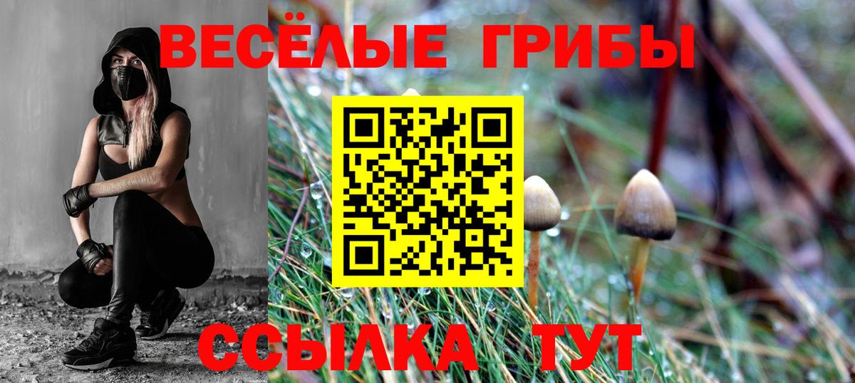 Псилоцибиновые грибы прущие грибы  Вход с VPN  Волоколамск  Псилоцибиновые грибы Magic Shrooms 